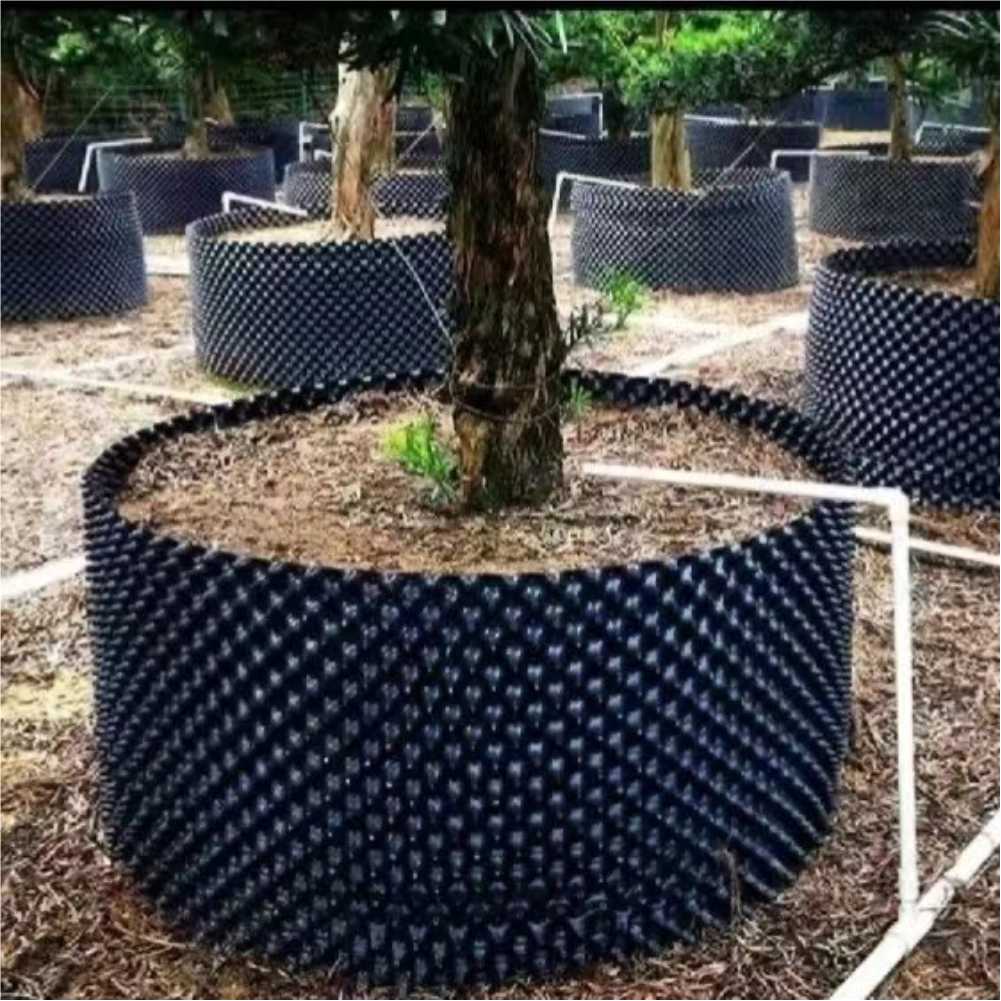 Nursery - Grow Container Garden Tree Bonsai Transplant