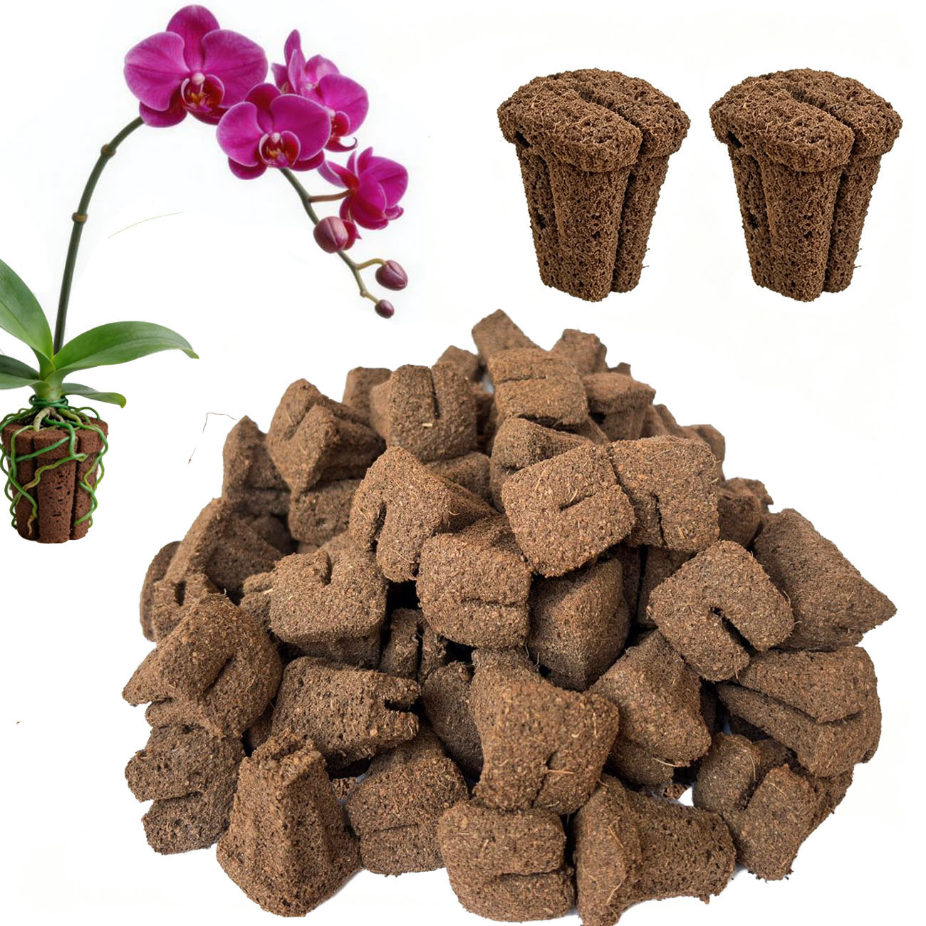 Nursery - Hydroponic Rapid Grow Rooting Seed Starter
