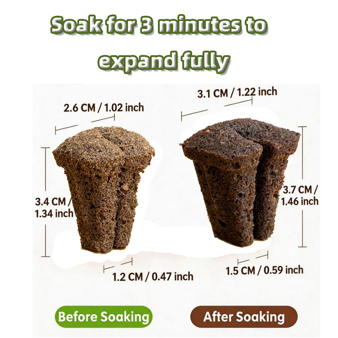 Hydroponic Rapid Grow Rooting  - Nursery ulasan dan harga