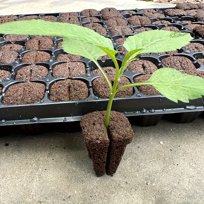 Hydroponic Rapid Grow Rooting  - Nursery ulasan dan harga