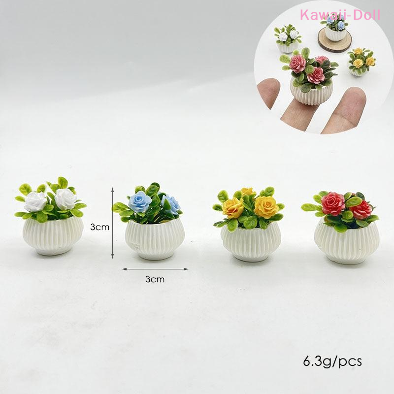 1Pcs Miniature Mini Rose Plant - Diapering ulasan dan harga
